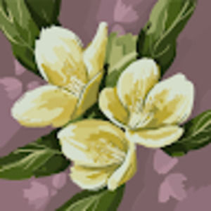 Meet your Posher, Teal